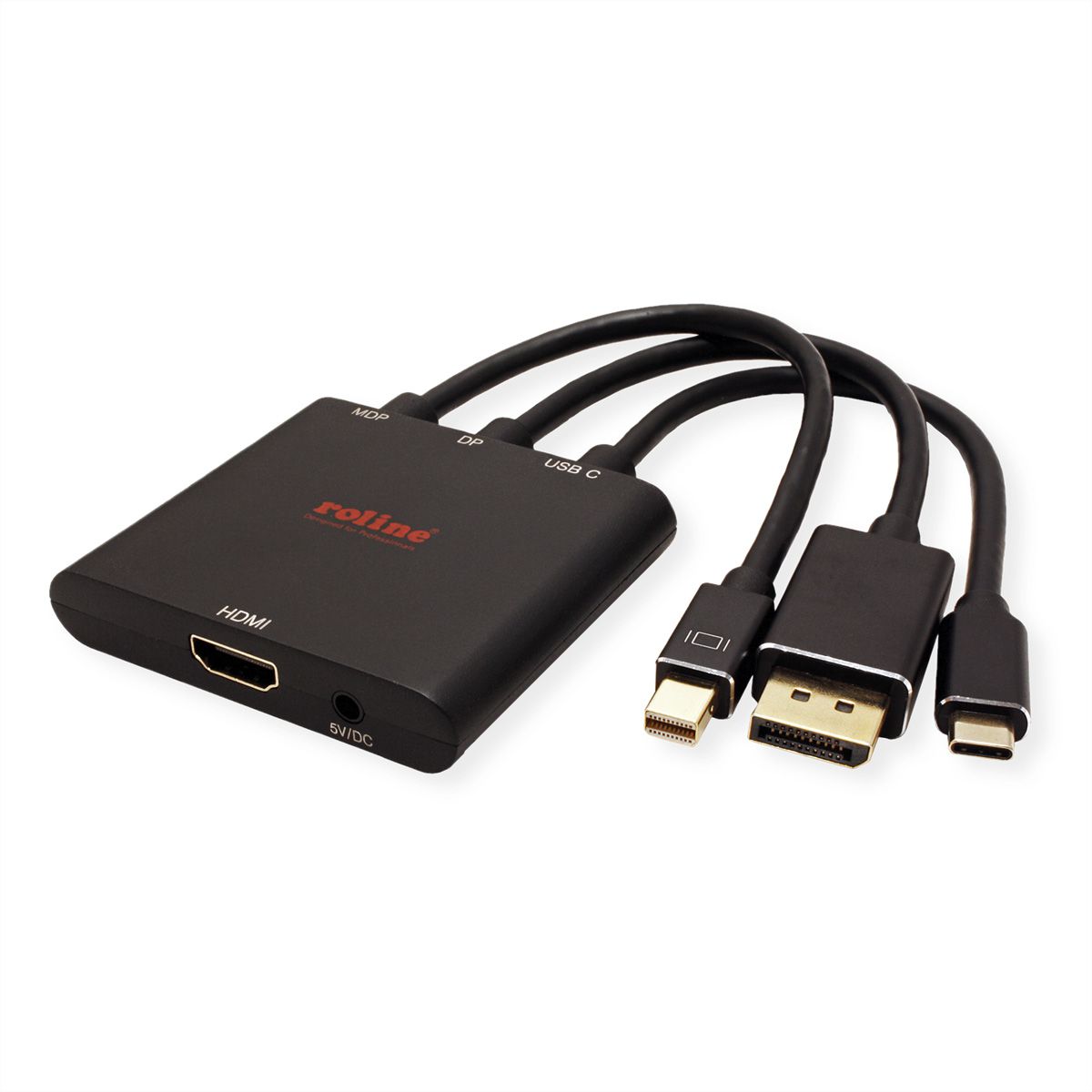 ROLINE Cableadapter Mini DisplayPort / DisplayPort / Type C HDMI