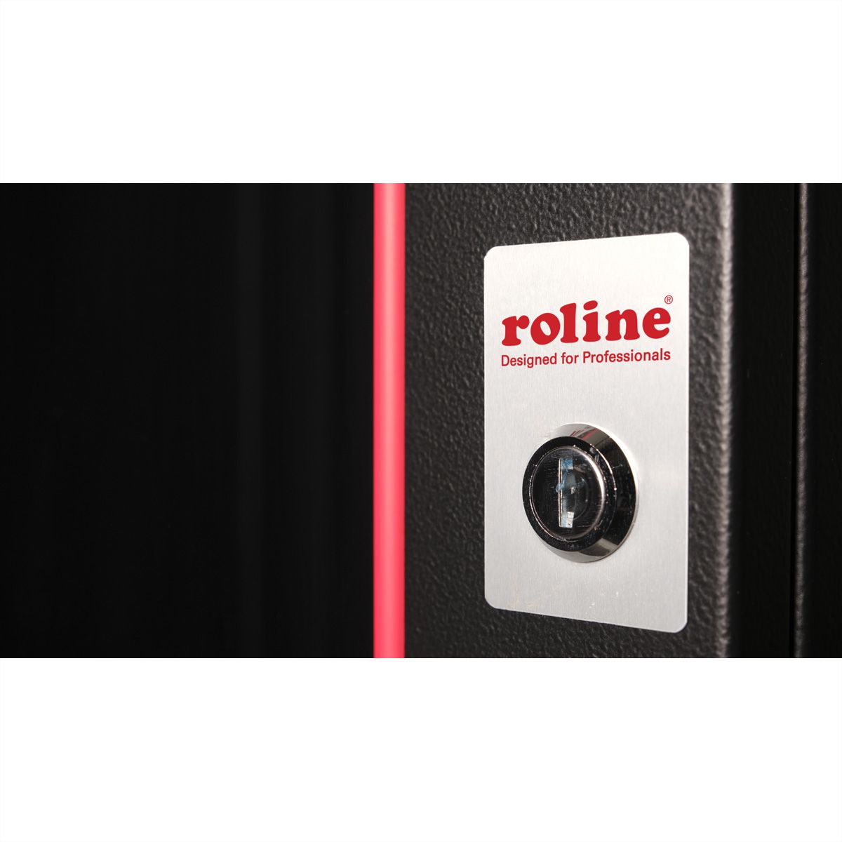 ROLINE 19-inch wall-mounted housing Pro 20 U, 600x600 WxD black