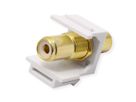 VALUE RCA Keystone Coupler, Plastic, white