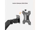 VALUE Dual LCD Monitor Arm, Desk Clamp, 5 Joints, Space Saving