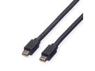 ROLINE DisplayPort Cable, Mini DP - Mini DP, M/M, black, 2 m