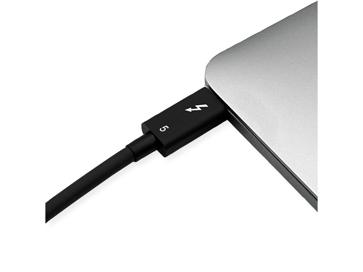ROLINE Thunderbolt™ 5 Cable, 80Gbit/s, 240W, C-C, M/M, passive, black, 0.8 m