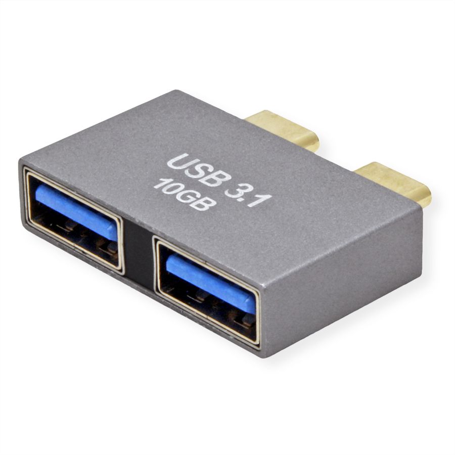 ROLINE Adapter, USB 3.2 Gen 2, 2x USB Type C - 2x USB A, M/F, silver