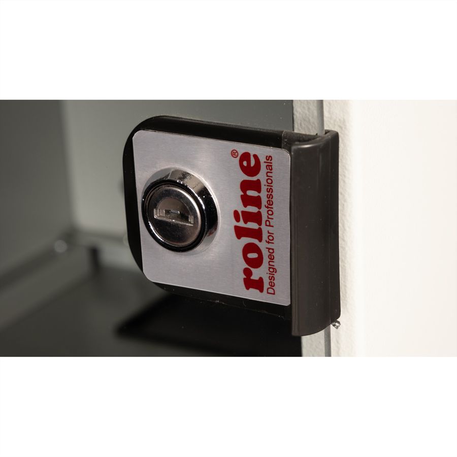ROLINE 10-inch wall-mounted housing 6 U, 312x300 WxD grey