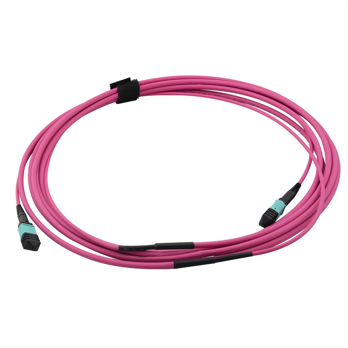 VALUE MPO Trunk Cable 50/125µm OM4, MPO/MPO, violet, 3 m