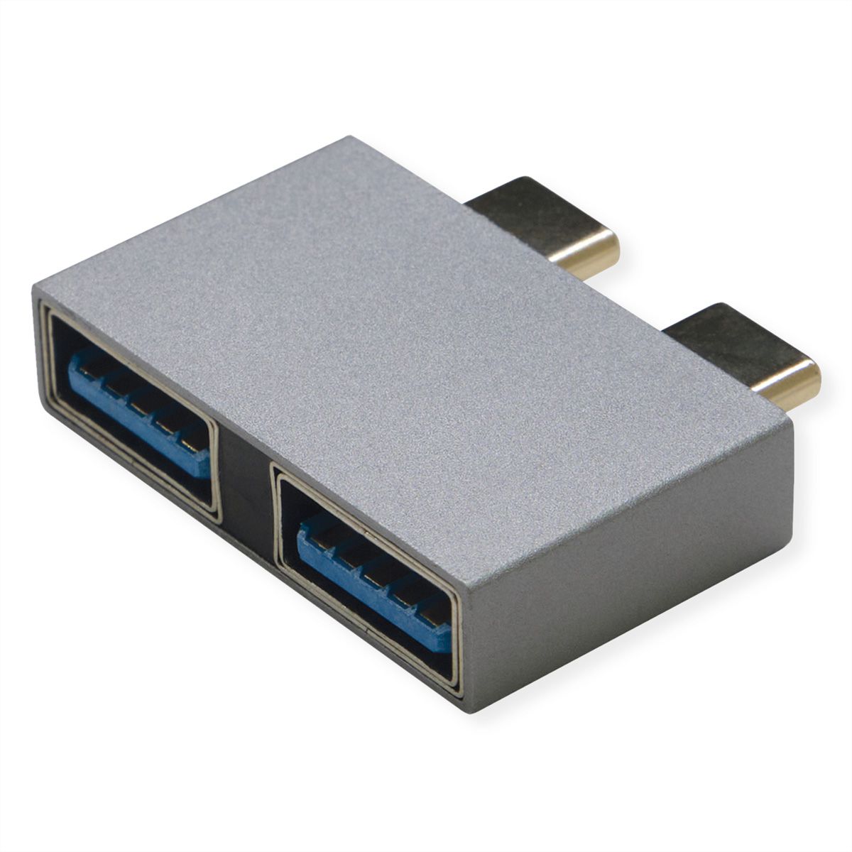 ROLINE Adapter, USB 3.2 Gen 2, 2x USB Type C - 2x USB A, M/F, silver -  SECOMP International AG