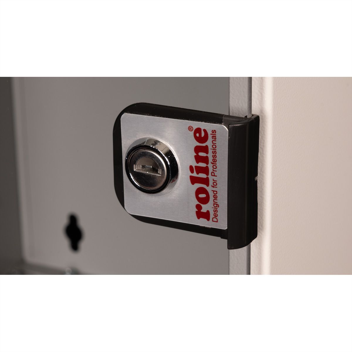 ROLINE 10-inch wall-mounted housing 9 U, 312x300 WxD grey