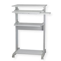 ROLINE PC Standing Workstation