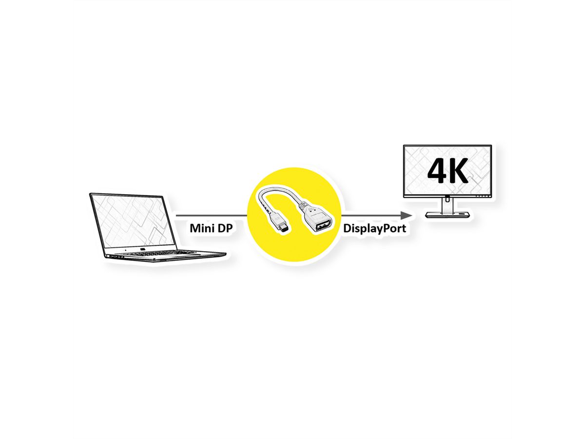 ROLINE DisplayPort Adapter, DP F - Mini DP M