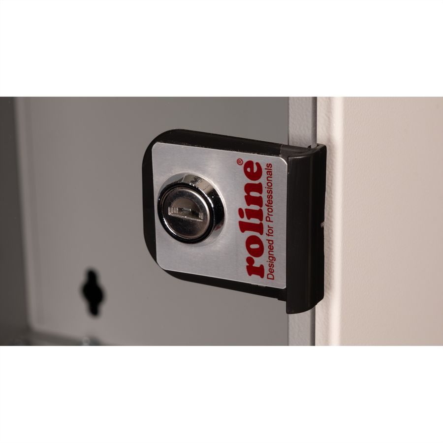 ROLINE 10-inch wall-mounted housing 9 U, 312x300 WxD grey