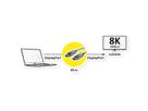 VALUE DisplayPort v1.4 Cable (AOC), M/M, 30 m