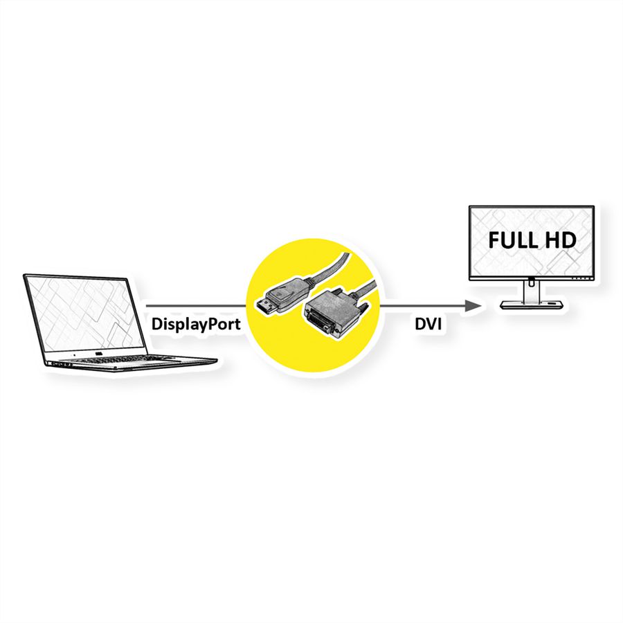 ROLINE DisplayPort Cable, DP-DVI (24+1), LSOH, M/M, black, 2 m