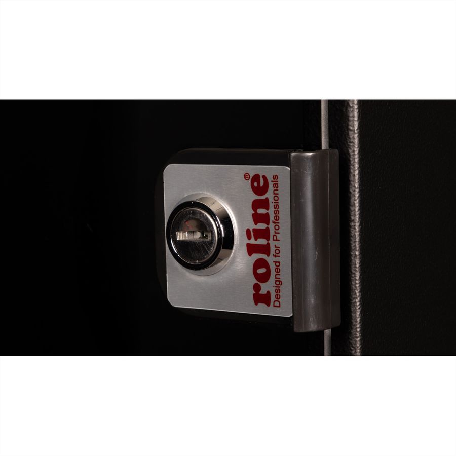 ROLINE 10-inch wall-mounted housing 12 U, 312x300 WxD black