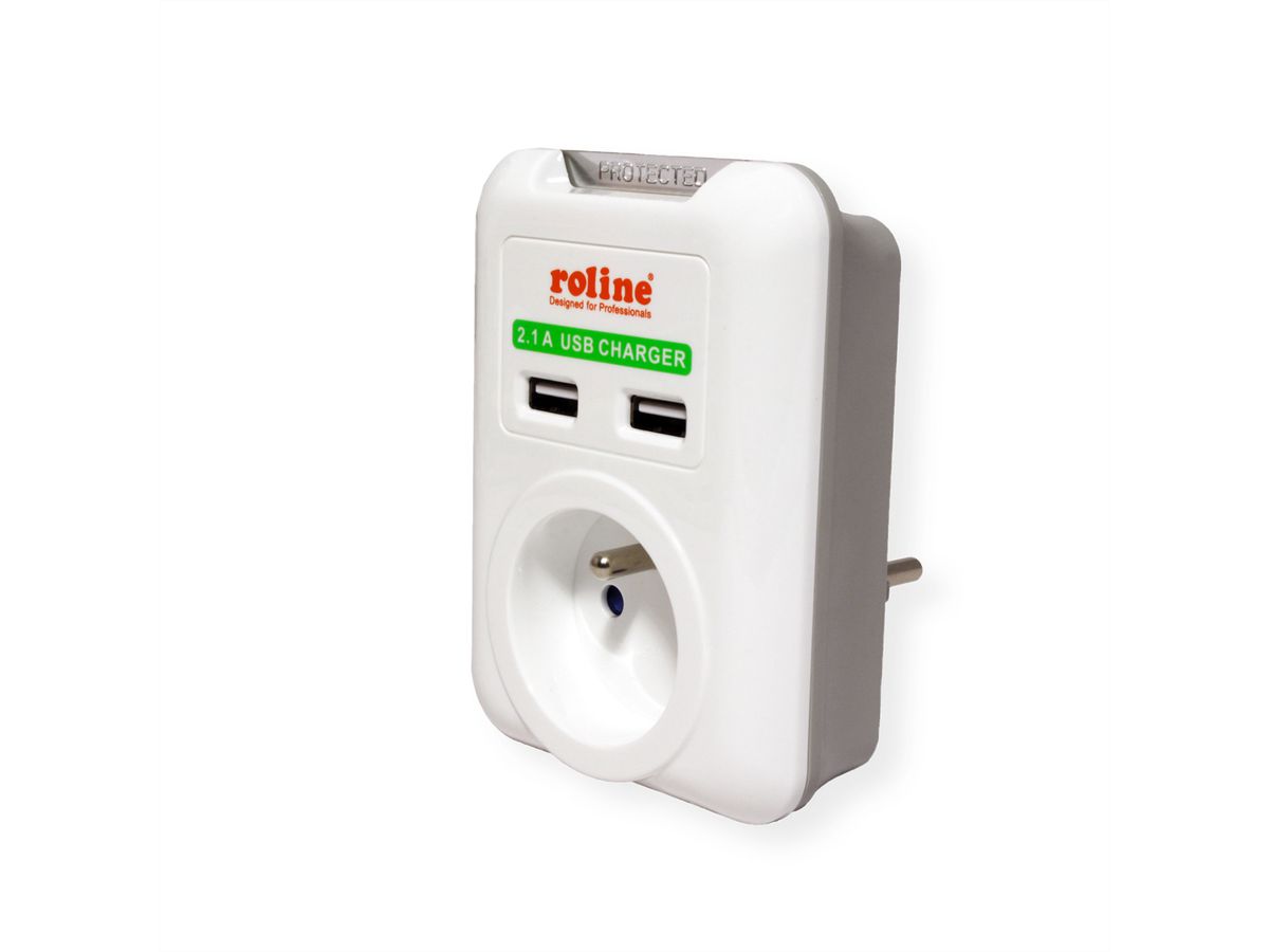 ROLINE Power Wall Outlet, 2x USB Charger, UTE version