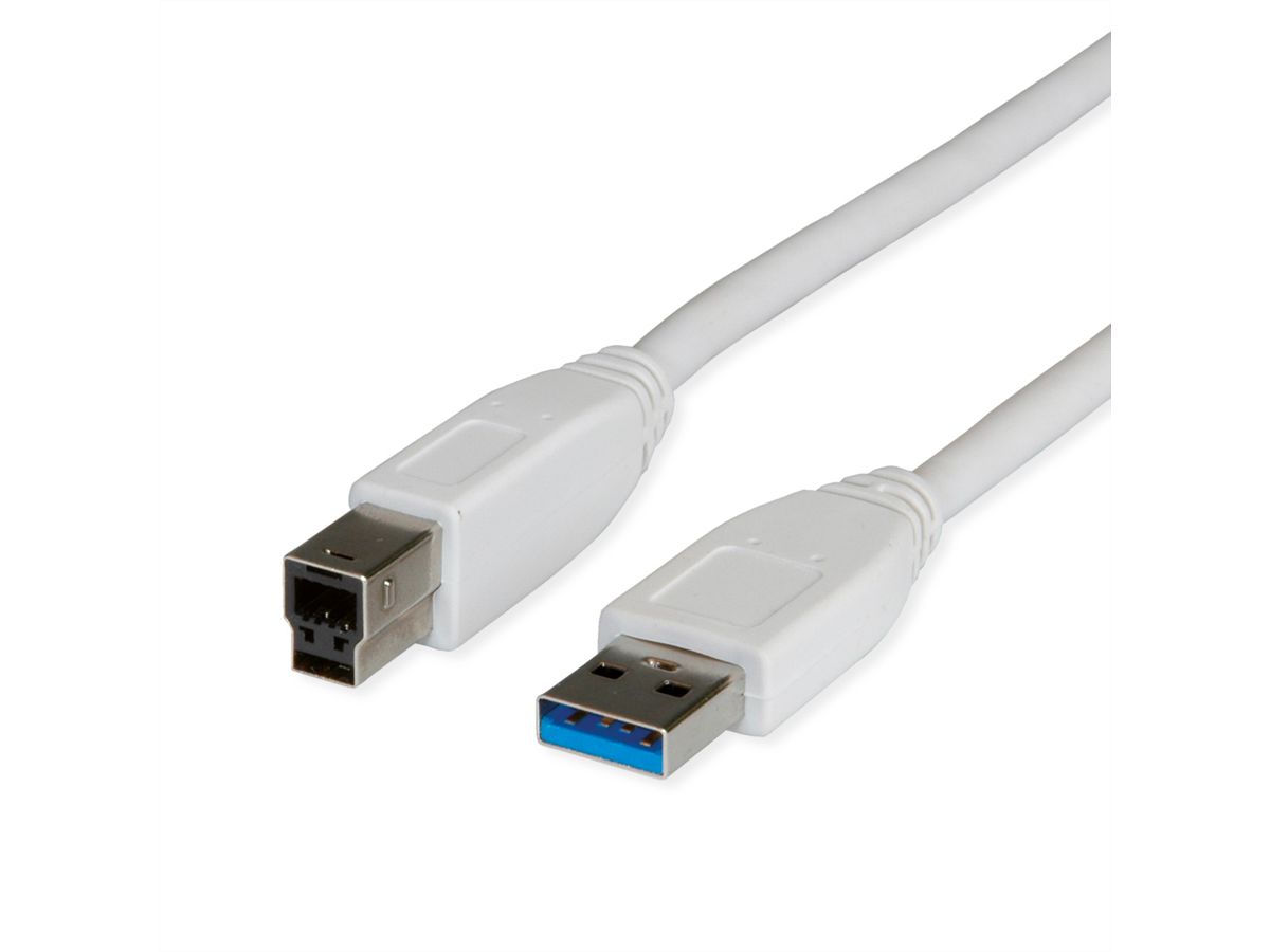 STANDARD USB 3.2 Gen 1 Cable, Type A M - B M, 1.8 m, beige, 1.8 m