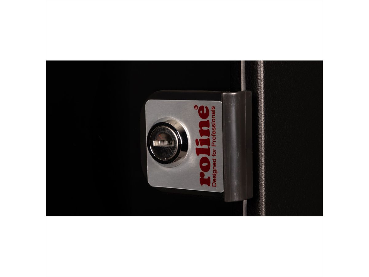 ROLINE 10-inch wall-mounted housing 12 U, 312x300 WxD black