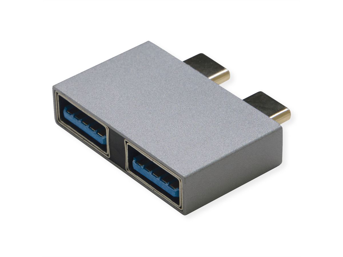 ROLINE Adapter, USB 3.2 Gen 2, 2x USB Type C - 2x USB A, M/F, silver