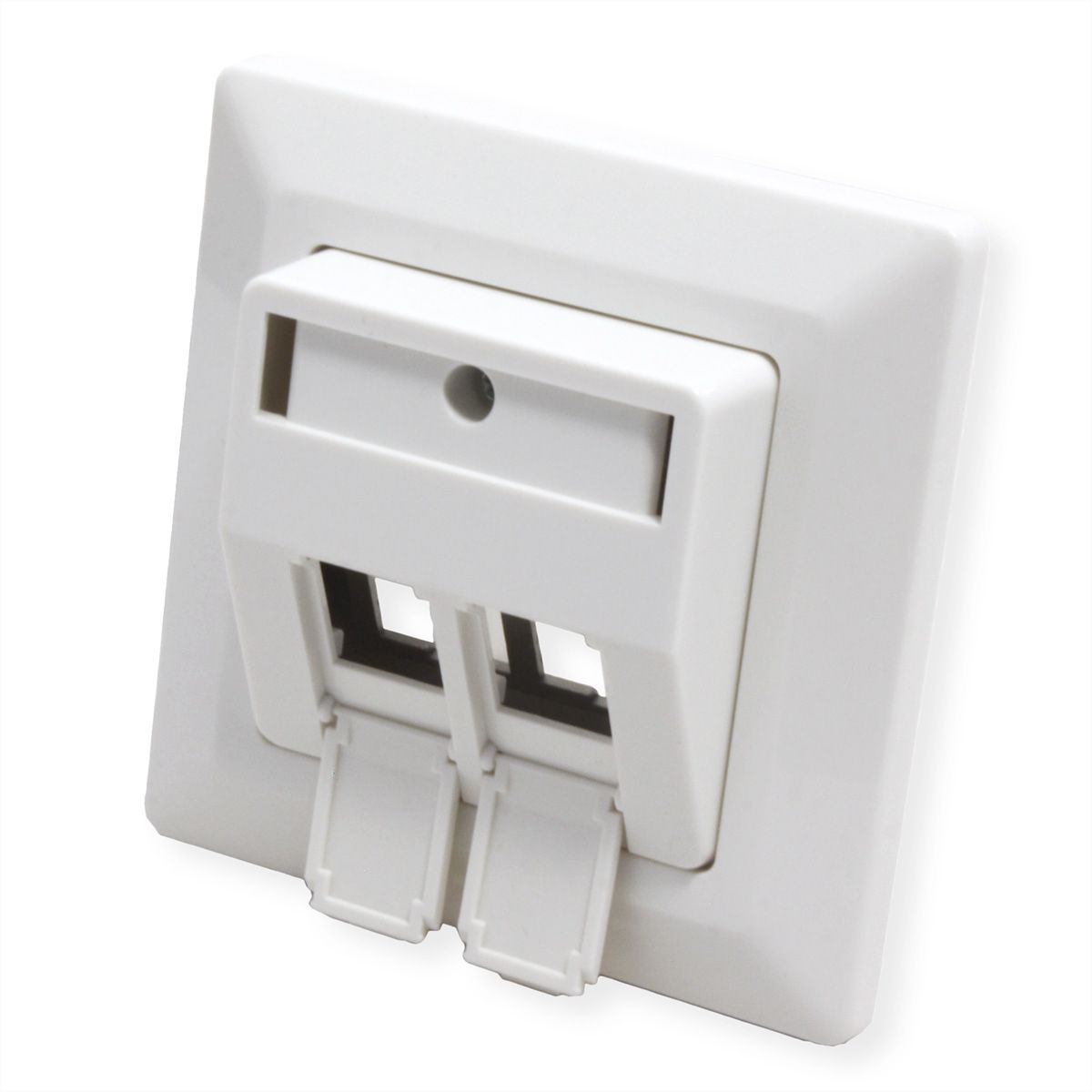 ROLINE Desktop Type 2-Port Face Plate, with dust caps