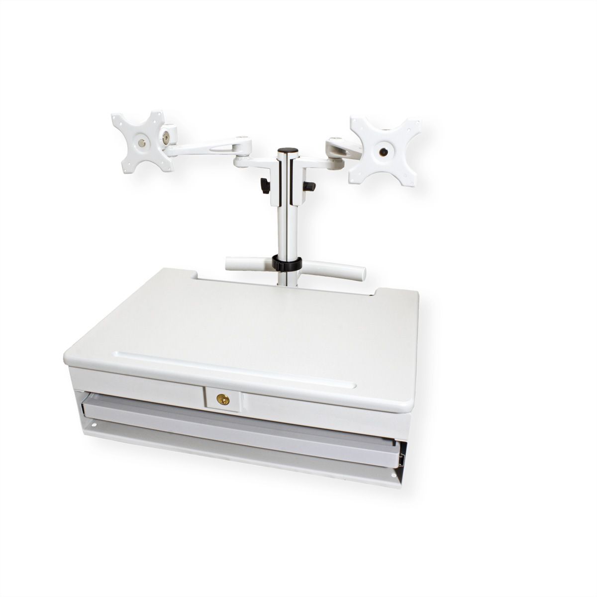ROLINE LCD TV + PC Mobile Computing Workstation