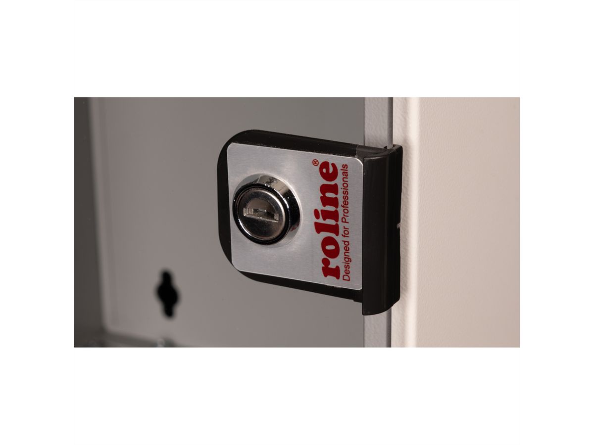 ROLINE 10-inch wall-mounted housing 9 U, 312x300 WxD grey