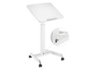 ROLINE PC Standing Workstation, height adjustable, tiltable, white