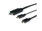 ROLINE Type C - HDMI + USB C Cable, M/M, 2 m