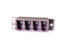 VALUE  Fibre Optic Adapter LC quadruple, OM4, PB