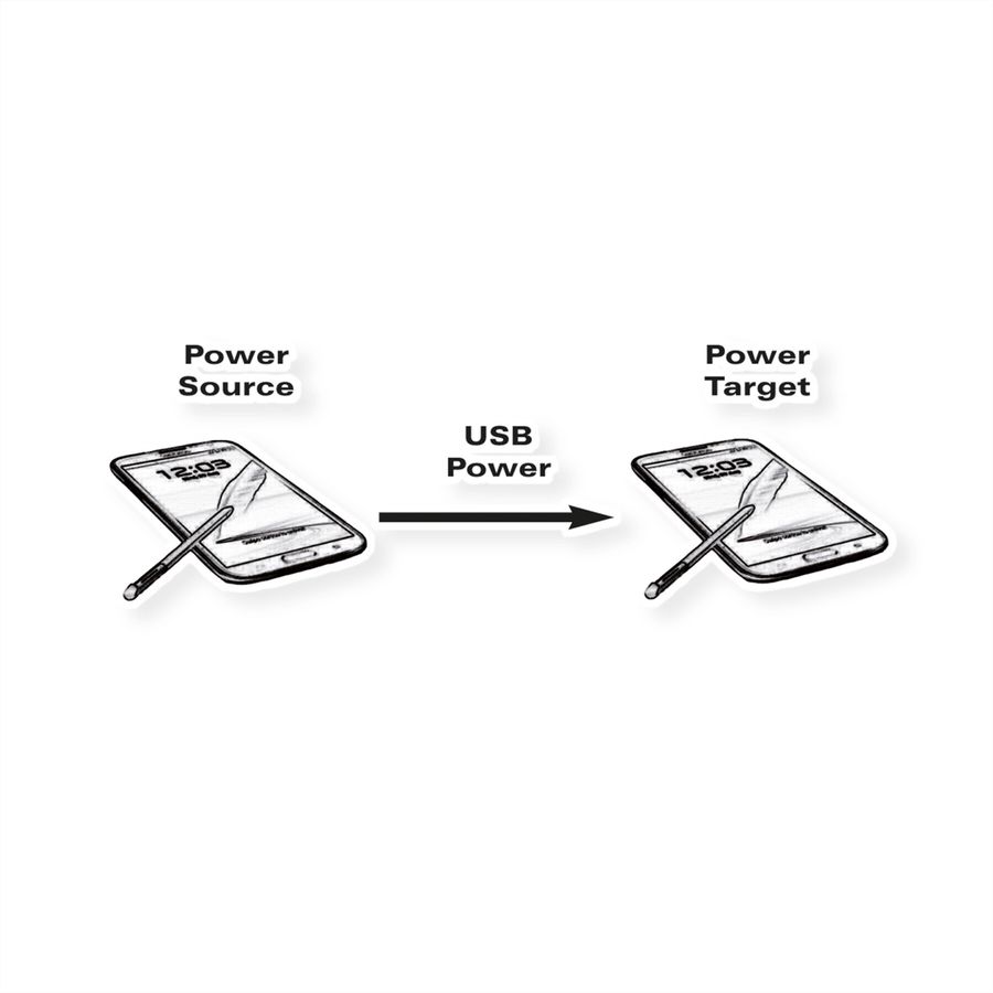 ROLINE USB 2.0 Charging Cable, Micro B - Micro B, M/M, black, 0.3 m