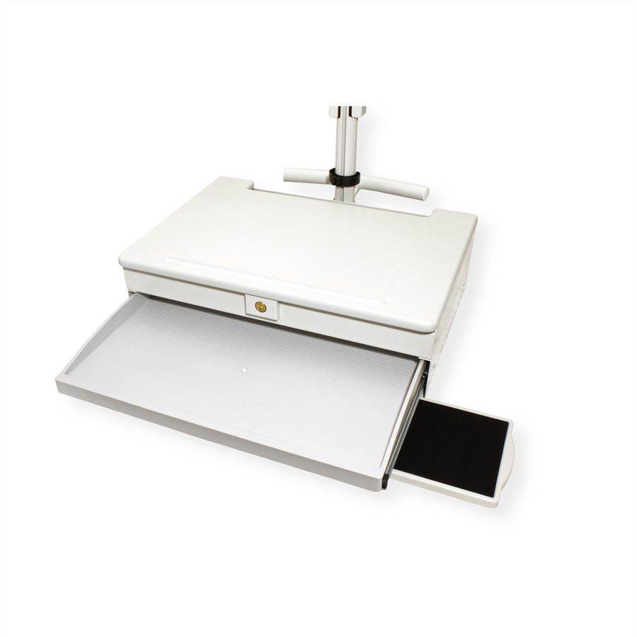 ROLINE LCD TV + PC Mobile Computing Workstation