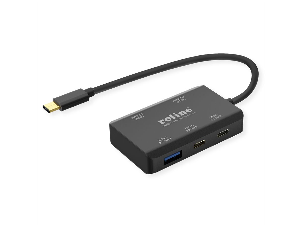 ROLINE USB 3.2 Gen 2 Hub, 4 Ports (2x A + 2x C), PD (100W)