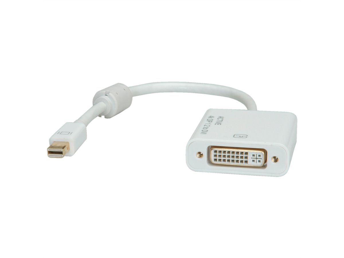 ROLINE Adaptateur DVI M / VGA F