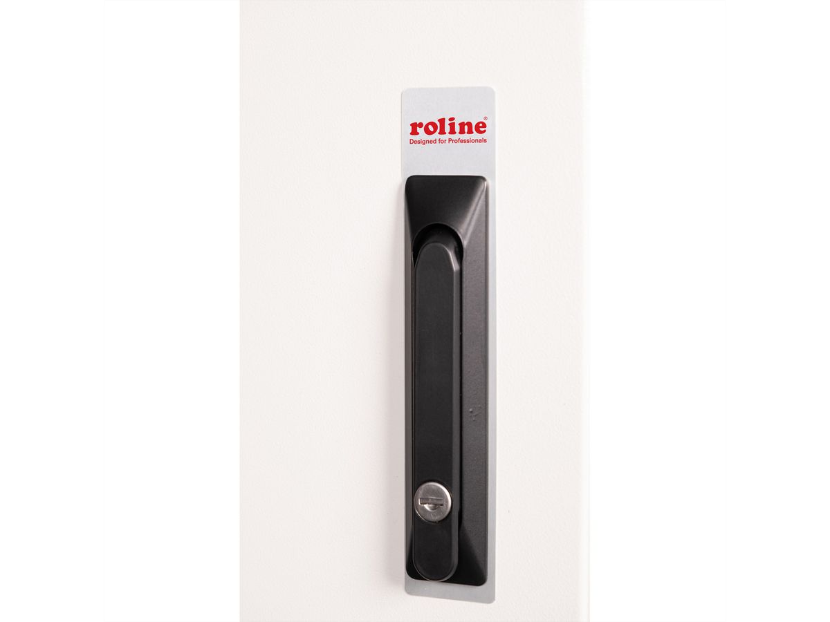 ROLINE 19-inch wall-mounted housing Pro 16 U, 600x600 WxD IP55 outdoor grey