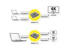 VALUE Bi-Directional DisplayPort Switch 4K60, 2-way
