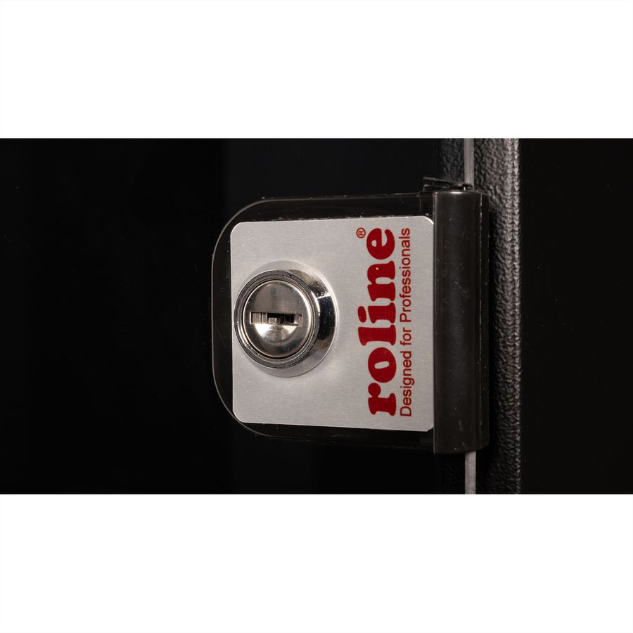 ROLINE 19-inch wall-mounted housing Basic 12 U, 540x400 WxD kit black