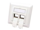 ROLINE Flush Mount Wall Oulet for Keystones, 2-port