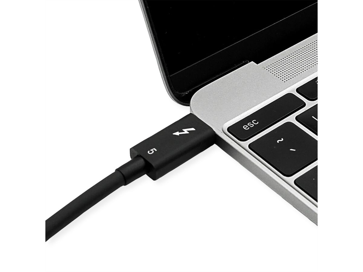 ROLINE Thunderbolt™ 5 Cable, 80Gbit/s, 240W, C-C, M/M, passive, black, 0.8 m