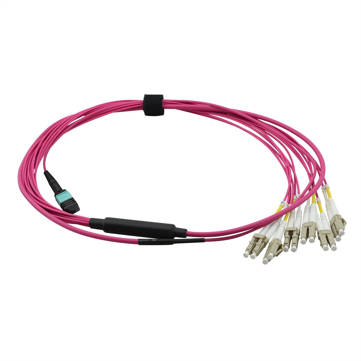 VALUE MPO Fan-Out Cable 50/125µm OM4, MPO/12x LC, violet, 2 m