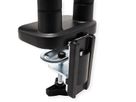 VALUE Dual LCD Monitor Arm, Desk Clamp, 5 Joints, Space Saving