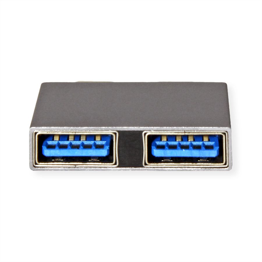 ROLINE Adapter, USB 3.2 Gen 2, 2x USB Type C - 2x USB A, M/F, silver