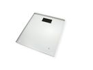 ROLINE 19-inch wall-mounted housing Pro 12 U, 600x600 WxD grey