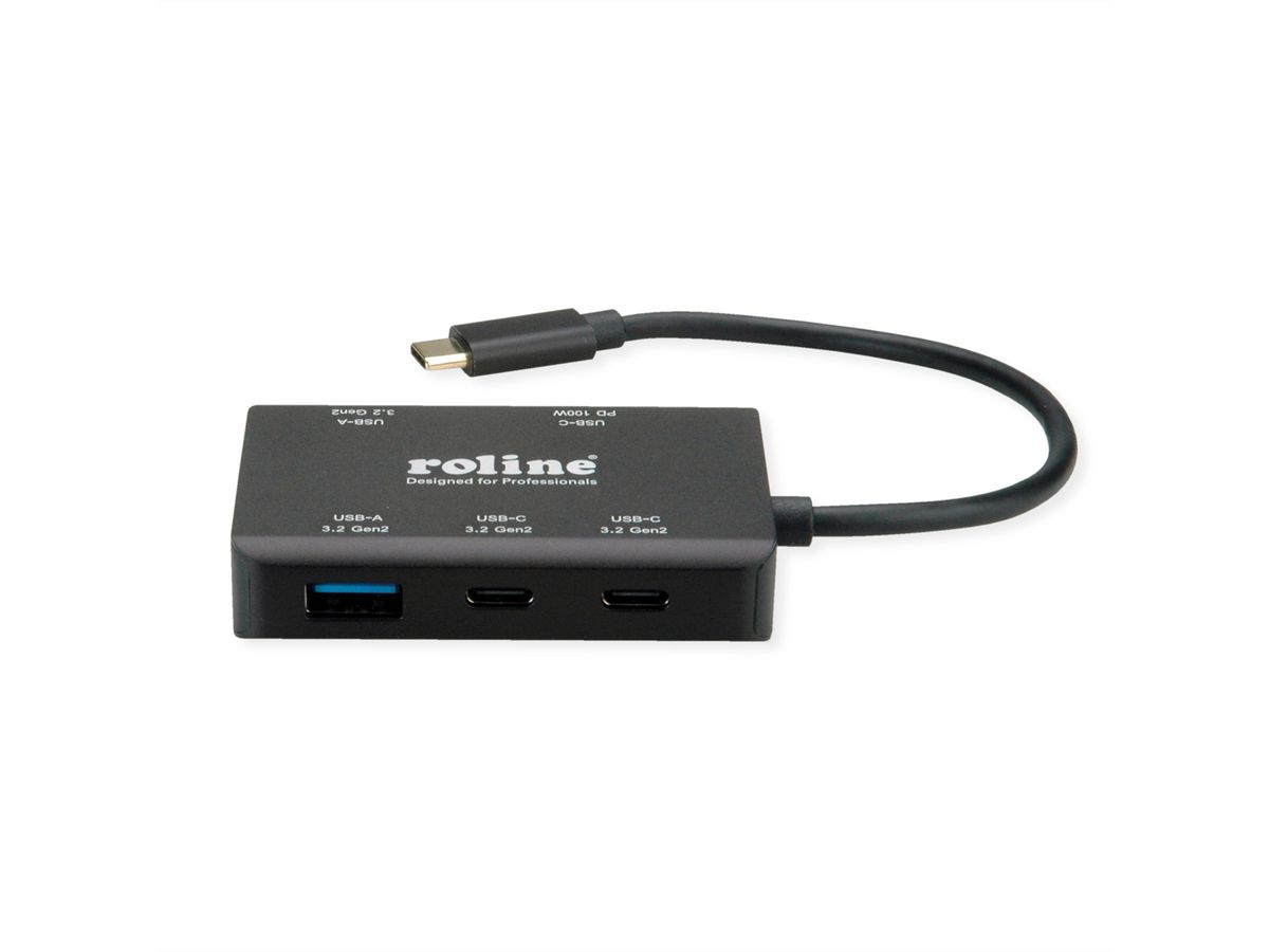 ROLINE USB 3.2 Gen 2 Hub, 4 Ports (2x A + 2x C), PD (100W)