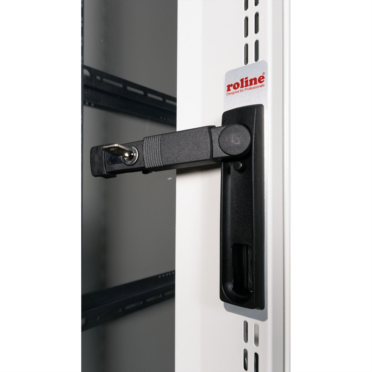 ROLINE 19-inch server rack Pro 36 U, 600x1000 WxD grey Plexiglas ...