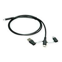 ROLINE USB 2.0 Cable, C-C, with A+C Data Lane Blockers, 1 m