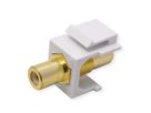 VALUE RCA Keystone Coupler, Plastic, white