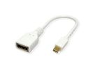 ROLINE DisplayPort Adapter, DP F - Mini DP M