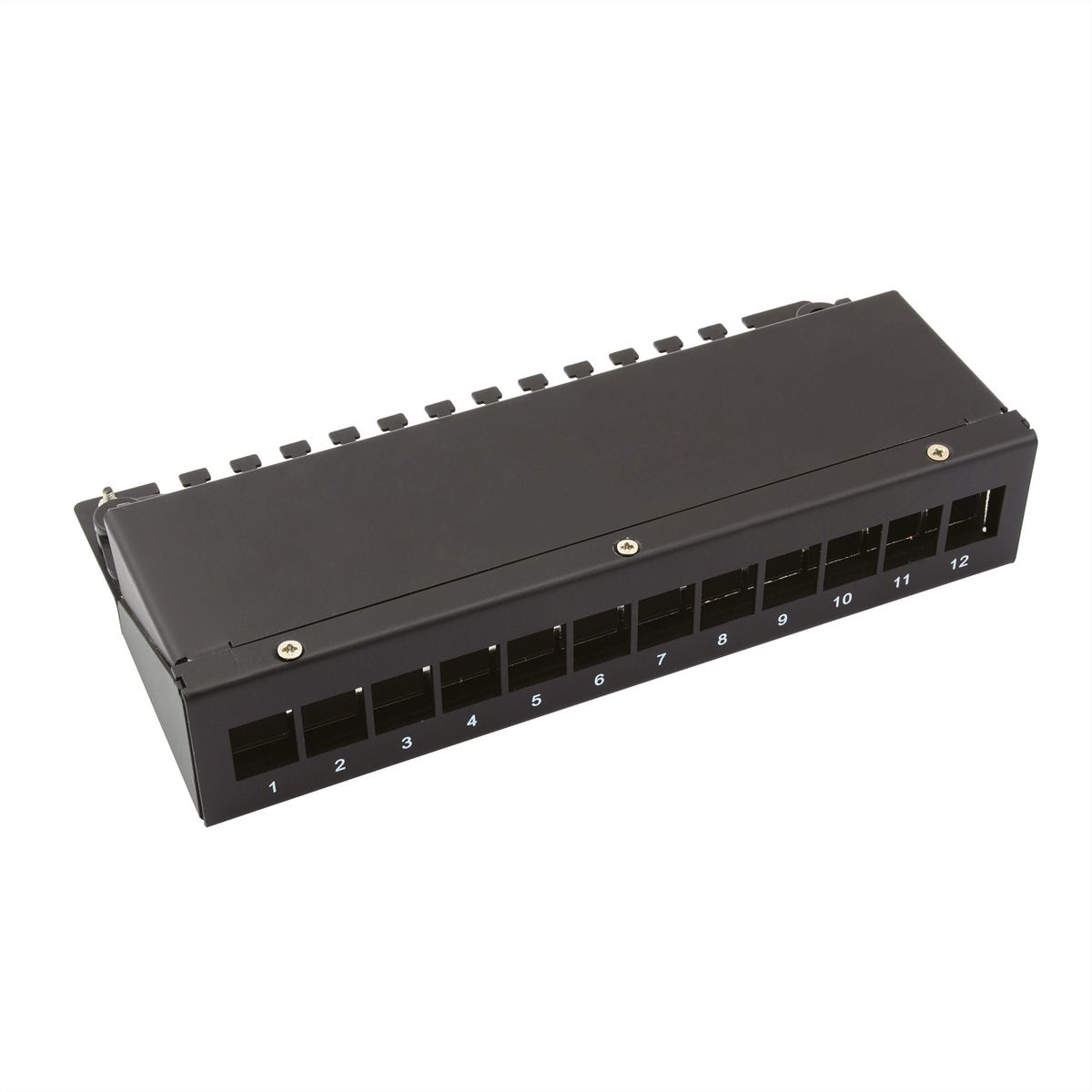 VALUE Keystone Module frame, 12 Ports, black