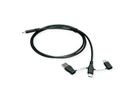 ROLINE USB 2.0 Cable, C-C, with A+C Data Lane Blockers, 1 m