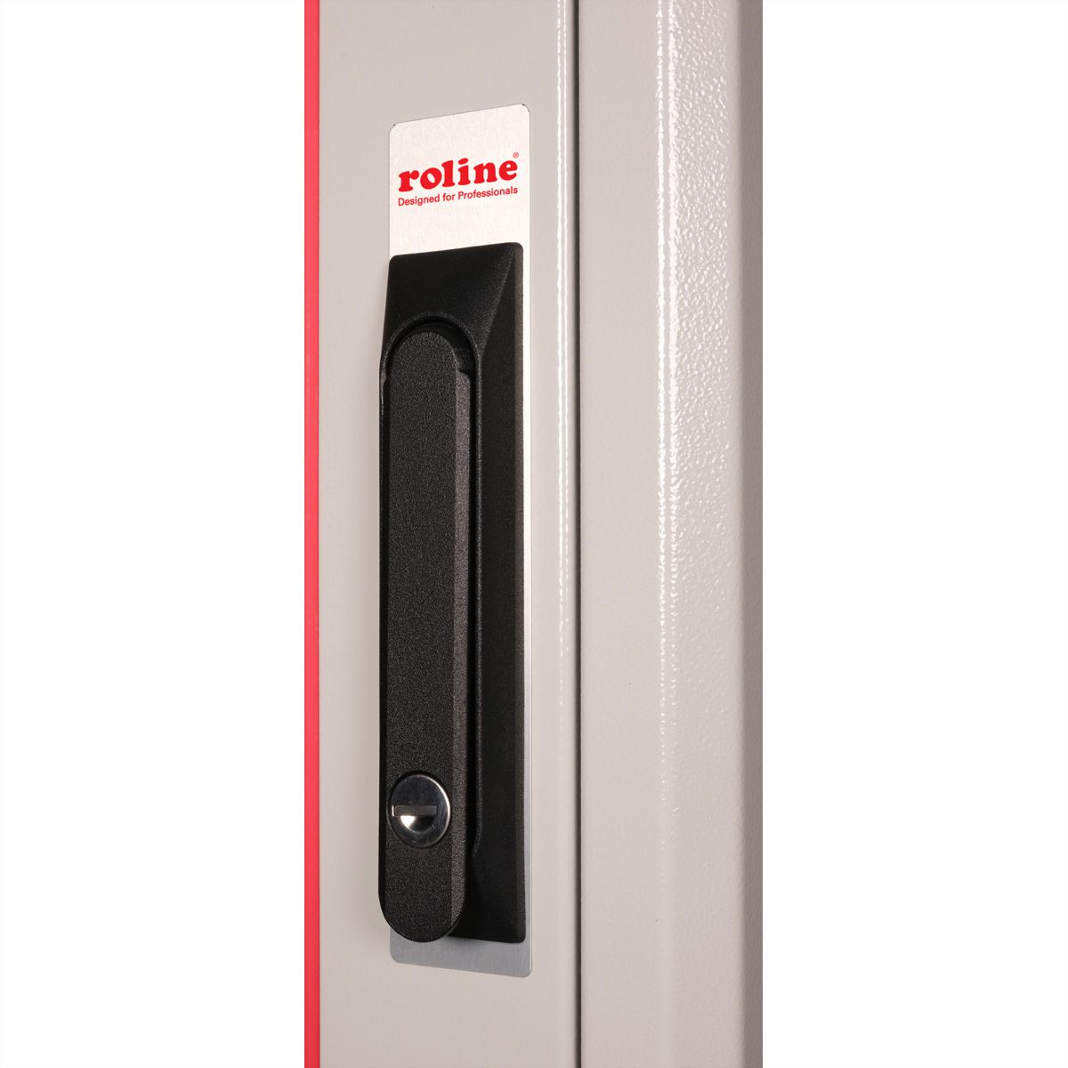 ROLINE 19-inch Network Cabinet Pro 42 U, 600x800 WxD glass door grey