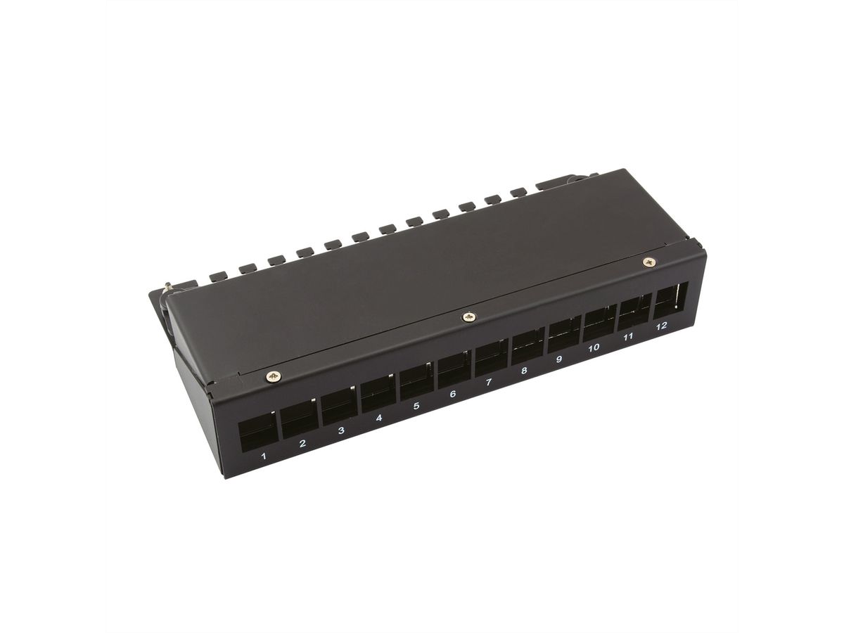 VALUE Keystone Module frame, 12 Ports, black
